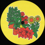 Markus Sommer - Garden Party