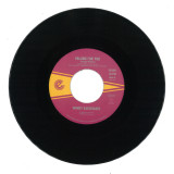 Windy Karigianes - Falling For You 7"