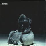 Belief Defect - Decadent Yet Depraved