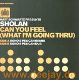 Sholan - Can You Feel *1*
