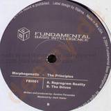 Morphogenetic - The Principles