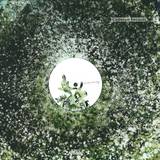 Ricardo Villalobos - Ach So 2x12"