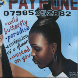 PAYFONE - WILD BUTTERFLY EP