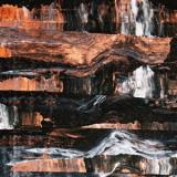 BARRENS - CORPSE LIGHTS