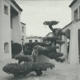 Embezzlement Society - Rough Quarters Ep