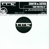 Zenith & Zatox - Can You Feel It