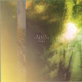 Brave Timbers - Hope