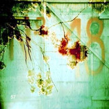 The Home Current - Another Way Of Falling Apart