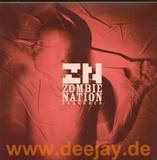 Zombie Nation - Absorber 2x12"