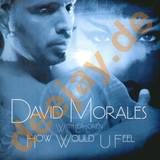 David Morales - How Would U Feel