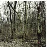 Junghanß - Naked Ep