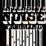 Crystal Distortion - Intensive Noise Farming 2x12"