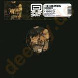 The Dolphins - Warriors