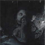 PURL - Holographic Prism