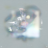 Conna Haraway - Lusidiq