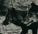 Barker & Baumecker - Transsektoral