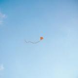 Chris Stussy - Lost, Found & Forgotten... (3x12")