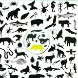 Wildlife - Edits Vol 3