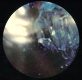 The Parallel - Distance Ep