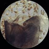 Culture Hub - Insula Ep