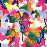 Jun Kamoda - The Distorted Haunted Ballroom Ep