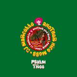 Dj Marcelle / Another Nice Mess - Psalm Tree