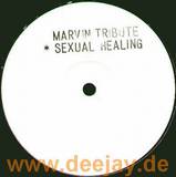 Marvin Tribute - Sexual Healing
