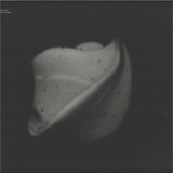 Anthony Linell - Core Field Horizon