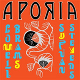 SUFJAN STEVENS & LOWELL BRAMS - Aporia