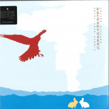 Sufjan STEVENS - Enjoy Your Rabbit LP 2x12"