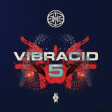 VARIOUS - VIBRACID 5 - THE RHYME EP