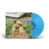 Shit And Shine - 0 aa RIOT LP