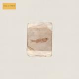 Do Nothing - Friend World LP