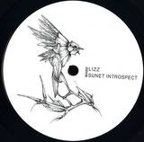 Lizz - Sunet Introspect Ep