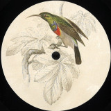 Ethyl & Flori - Transcipts