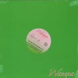 Wanexa - The Man From Colours