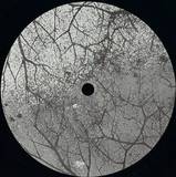 Jackie - What You Gave Me Ep