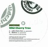 Nucvise - Wild Cherry Tree / Lifetime