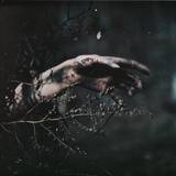 Alexey Volkov - The Escalation