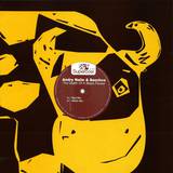 Andry Nalin & Sascho - The Death Of A Black Flower