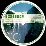 Caie! - Career Changer
