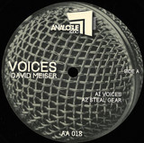 David Meiser - Voices