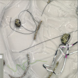 Siete Catorce - Temperatura