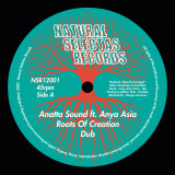 Anatta Sound Ft Anya Asia - Roots Of Creation