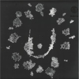 Various - INCANTATIONS LP