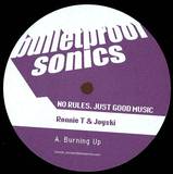 Ronnie T & Joyski/blunted Funk Project - Sampler