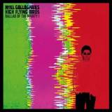 Noel Gallagher S High Flying Birds - Ballad Of The Mighty I