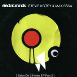 Stevie Kotey & Max Essa - Salon De L'herbe Ep Pt.2