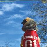 Shit And Shine - Some People Really Know How To Live