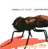 Dj Thomilla Feat. Oezlem - Slap That Bitch
